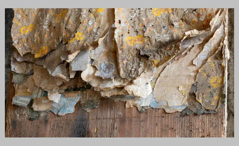 Event-Image for 'Ge(h)schichten'