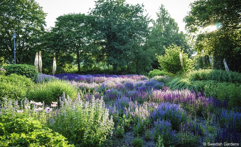 Gartenfokus Schloss Dyck