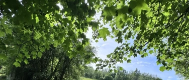 Event-Image for 'RAUS AUS DEM ALLTAG, REIN IN DIE NATUR - "Wild & Rooted"'