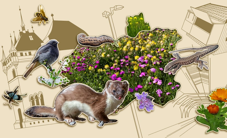 Event-Image for 'Ausstellung: Vernetzte Natur &ndash; Lebenswerte Stadt'