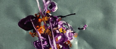 Event-Image for 'Walk & Talk mit Michael G&uuml;nzburger'