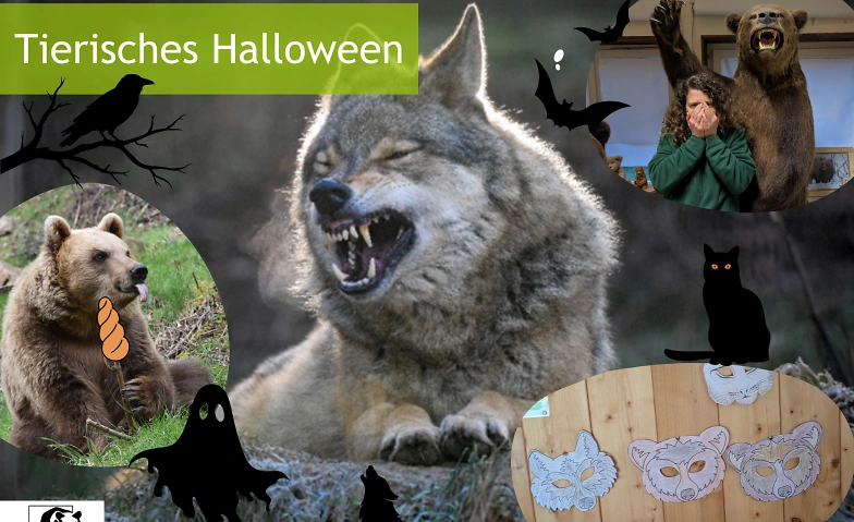 Tierisches Halloween