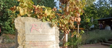 Event-Image for 'Weinwanderung Bischofsberg in der Weinbergslage Johannisberg'