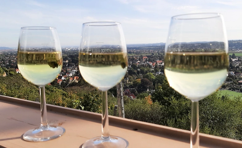 Moderierte Weinwanderung, Friedsteintour, ca. 3 h
