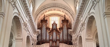 Event-Image for 'Familienkonzert auf der Orgelempore der Kathedrale'