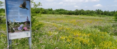 Event-Image for 'Heide-Aktionstag  -  Zu Gast im Wohnzimmer der Natur'