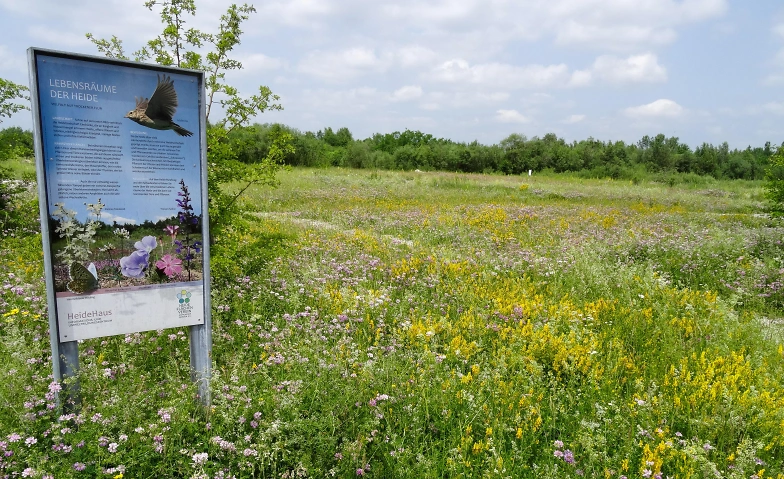 Heide-Aktionstag - Zu Gast im Wohnzimmer der Natur
