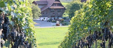 Event-Image for 'Weintavolata: Hof-M&auml;rcht'