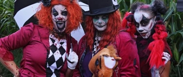 Event-Image for 'Maisalm Horrorn&auml;chte'