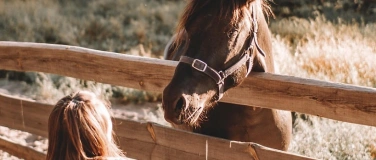 Event-Image for 'Pony-Nachmittag'