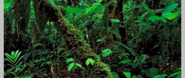 Event-Image for 'Horst Flohmarkt'