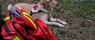 Event-Image for 'Erste Hilfe am Hund Kurs'