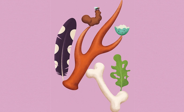 Sonderausstellung «Spuren – Fährten, Frass und Federn»
