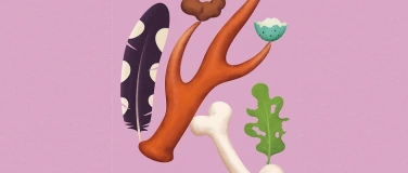 Event-Image for 'Sonderausstellung &laquo;Spuren &ndash; F&auml;hrten, Frass und Federn&raquo;'