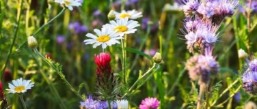 Event-Image for 'Im Einklang mit der Natur und Achtsamkeit - mit Ap&eacute;ro'