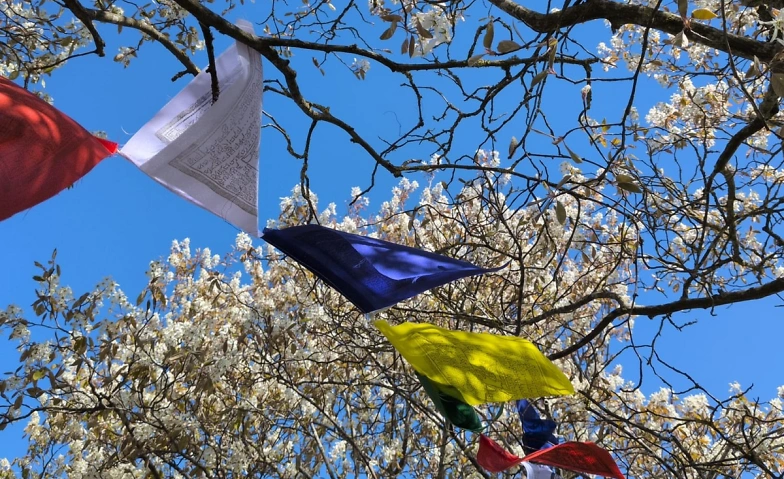 Lu Jong am Sonntag - Meditation in Bewegung Tickets