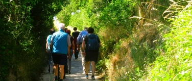 Event-Image for 'Wiener Weinwandertag Highlight mit Kunst &Wein'