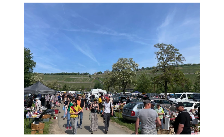 Würzburger Flohmarkt auf der Mainwiese