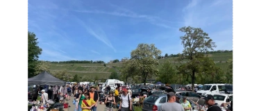 Event-Image for 'W&uuml;rzburger  ABENDFLOHMARKT auf der Mainwiese 1.TAG'