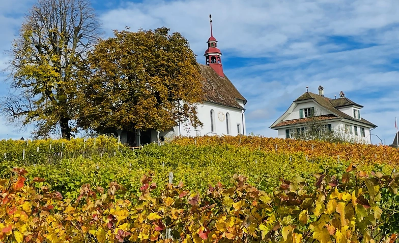 Event-Image for 'Weinfest im Mariazell Sursee'