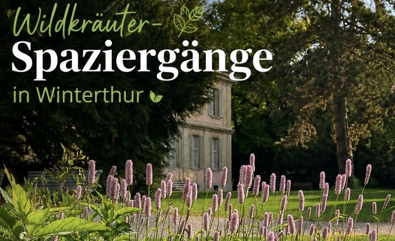 Event-Image for 'Wildkr&auml;uter Spaziergang'