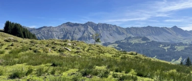 Event-Image for '3 Tage Pfingst-Wanderung "mehr Moor"'