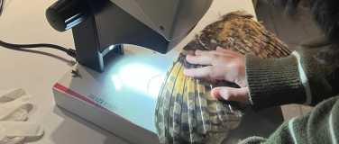 Event-Image for 'Anmeldestart f&uuml;r die neue Staffel &laquo;Jugend & Wissenschaft&raquo;'