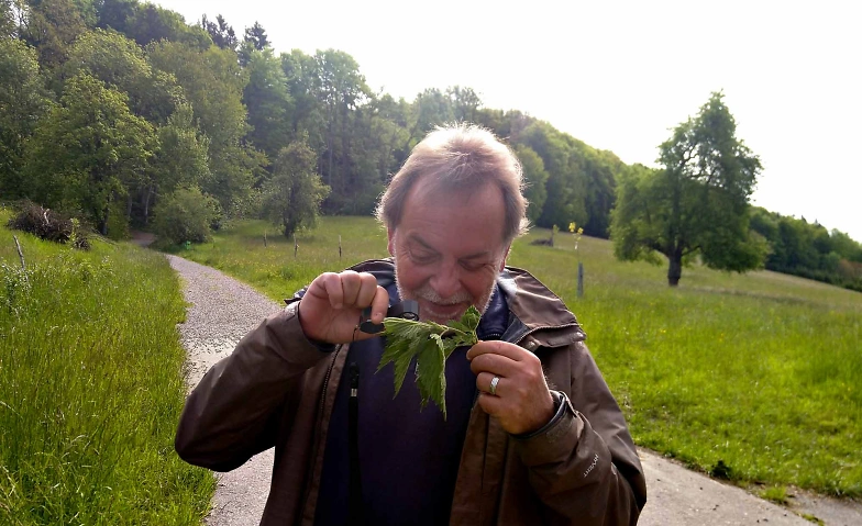 Event-Image for 'Essbaren Wildpflanzen begegnen'