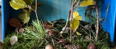 Event-Image for 'HerbstCamp Wald- und Wiesenwichtel'