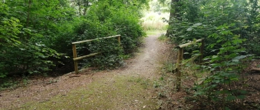 Event-Image for 'Waldbaden f&uuml;r Menschen mit Gehbehinderung im Gie&szlig;ener Wald'