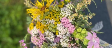Event-Image for 'Kr&auml;uterspaziergang mit Chrissys Kr&auml;uter-Apotheke'