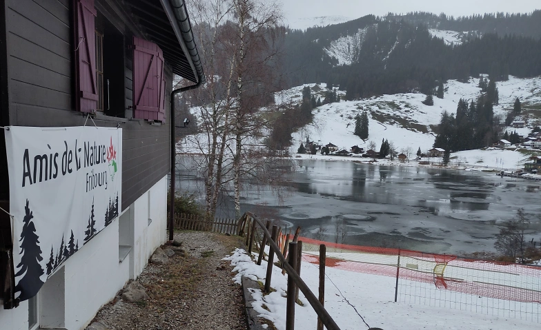 Resilienz durch Kälte-Resistenz