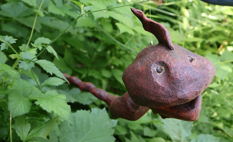 Event-Image for 'Wasserwelten'