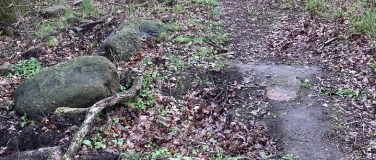 Event-Image for 'Single-Spaziergang 05/2026'