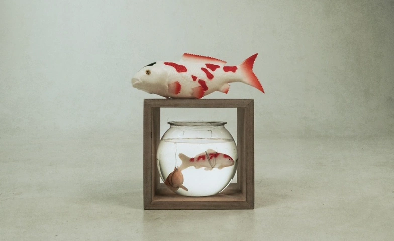 Event-Image for 'Aquarium'