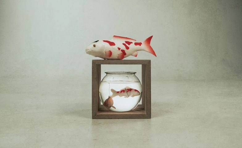 Aquarium Billets
