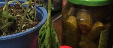 Event-Image for 'Schlagertexte -  g e sp i e l t!'