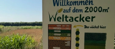 Event-Image for 'Sauerkraut fermentieren auf dem Weltacker'