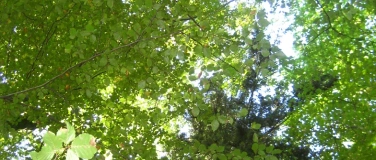 Event-Image for 'Biergartenandacht'