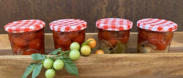 Event-Image for 'Fermentieren Grundkurs'