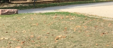 Event-Image for 'Live-Krimi-Spaziergang im Rebstockpark:'