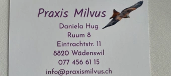 Organisateur de Ein warmes gesundes Frühstück nach TCM