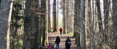 Event-Image for 'Waldbegehung Hagenbuech- und Achslenwald'