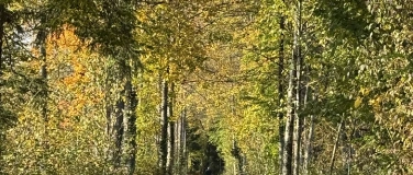 Event-Image for 'Waldbaden & Breathwork'