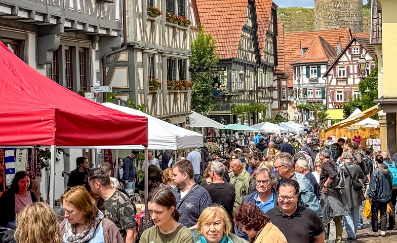 Stadt Flohmarkt Besigheim