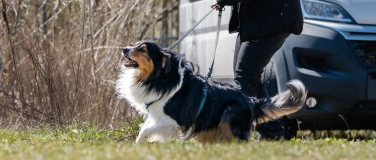 Event-Image for 'Tagesworkshop: Entdeckung der Gelassenheit f&uuml;r Hibbelhunde'