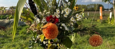 Event-Image for 'Wilde Str&auml;u&szlig;e - Naturfloristik auf dem Weltacker'