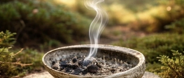 Event-Image for 'Begleitete Naturauszeit & R&auml;ucherritual im Seleger Moor'