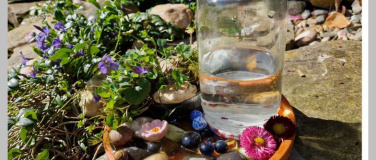 Event-Image for 'Insektentr&auml;nke bauen'