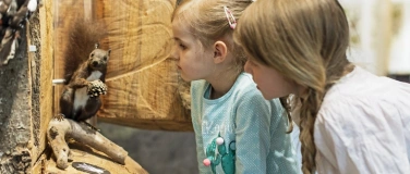 Event-Image for 'Internationaler Museumstag im Naturmuseum St.Gallen'